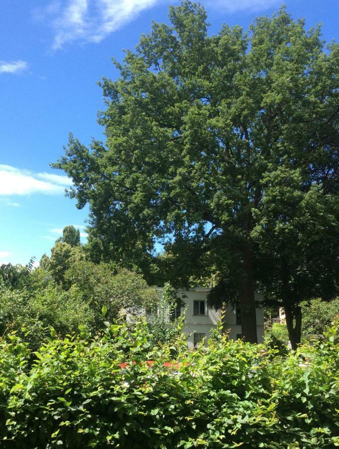 Apartament Zur Eiche Poczdam Zewnętrze zdjęcie